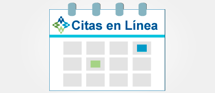 titulo de citas en linea pasaporte biometrico